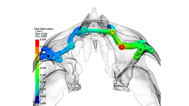 IPS inSilico® x VIT 