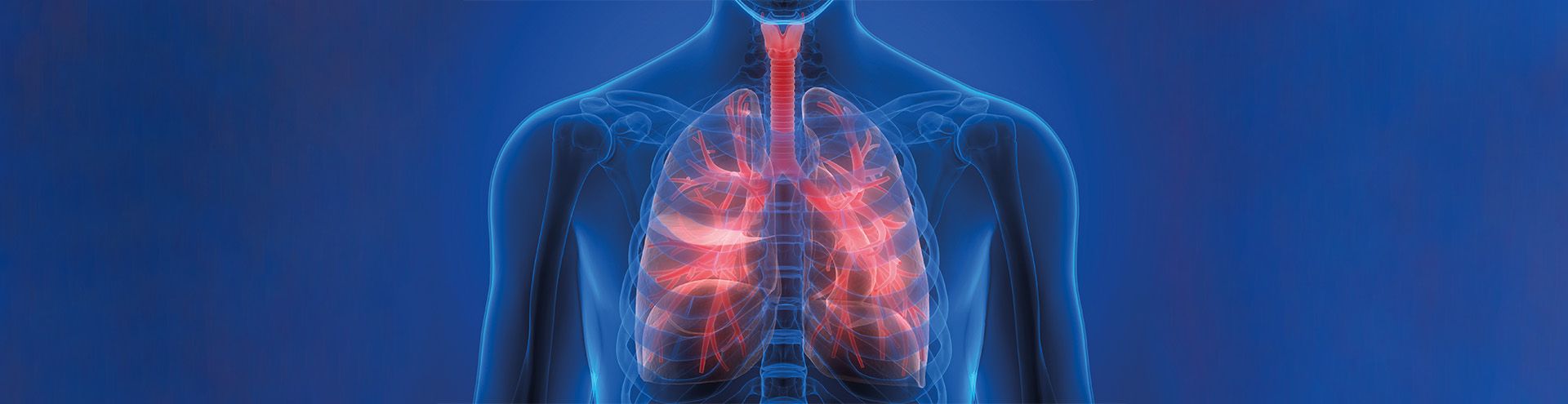 Expert Meeting on Laser Application in Thoracic Surgery – open Approach and VATS