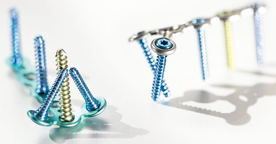 Falanges y metacarpianos