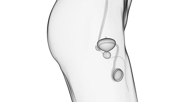 Anwenungsbeispiele | Urologie