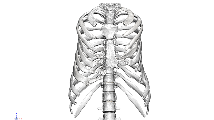 Collection of CT Data