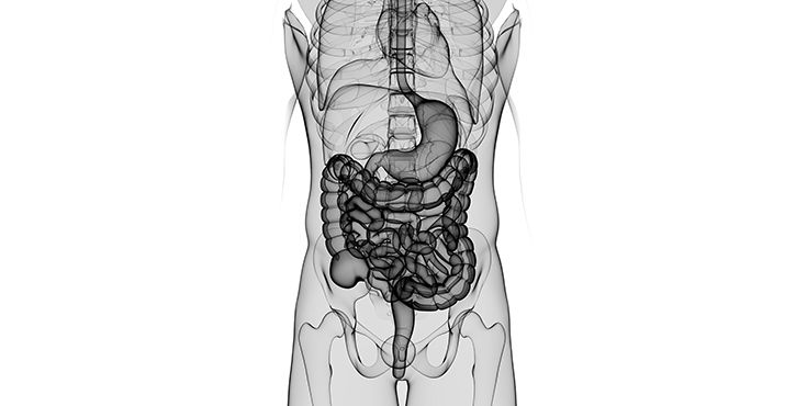 应用示例 | 普通外科与内脏外科