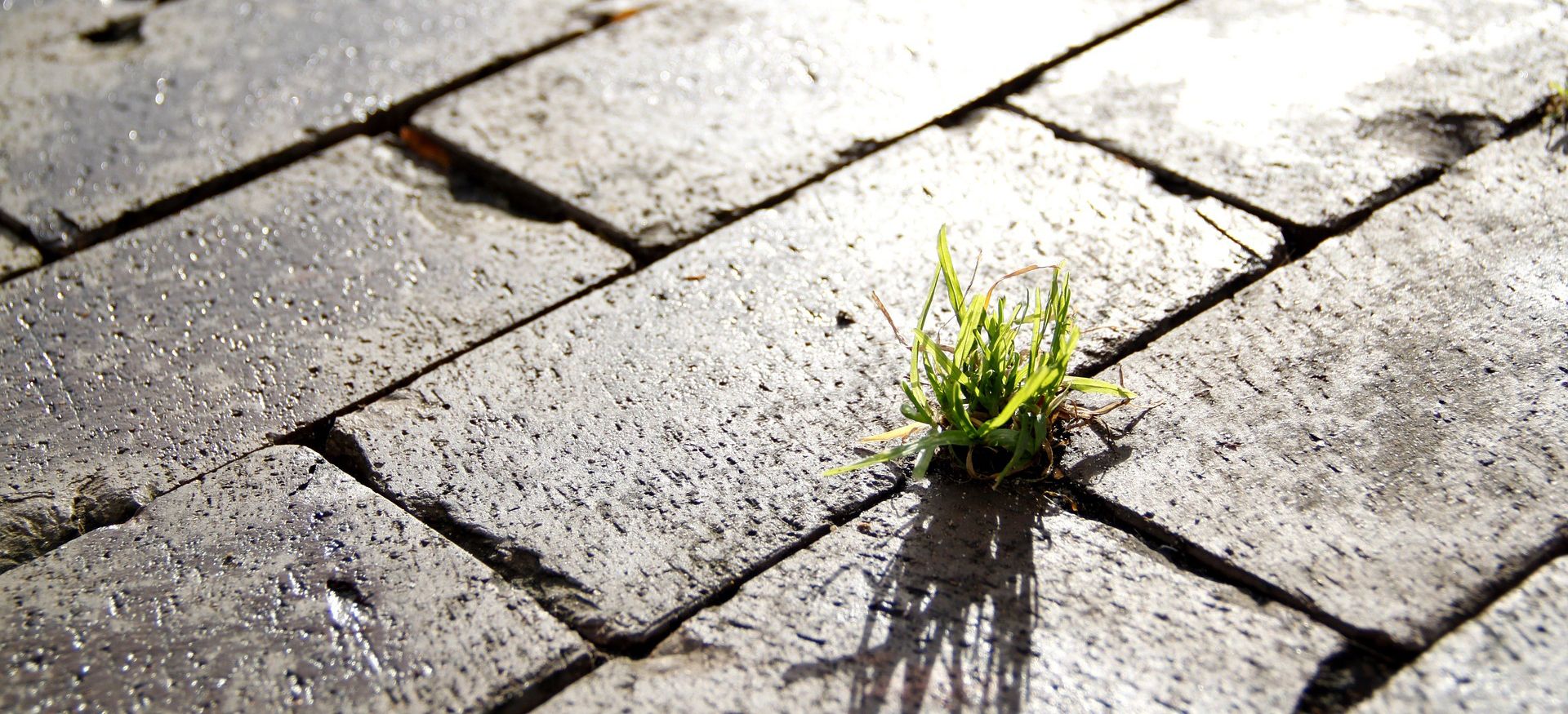 可持续发展标题