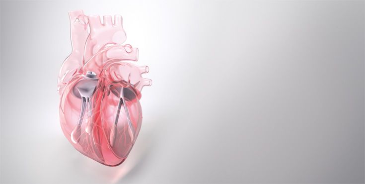 Surgical instruments - Cardio - Instruments heart